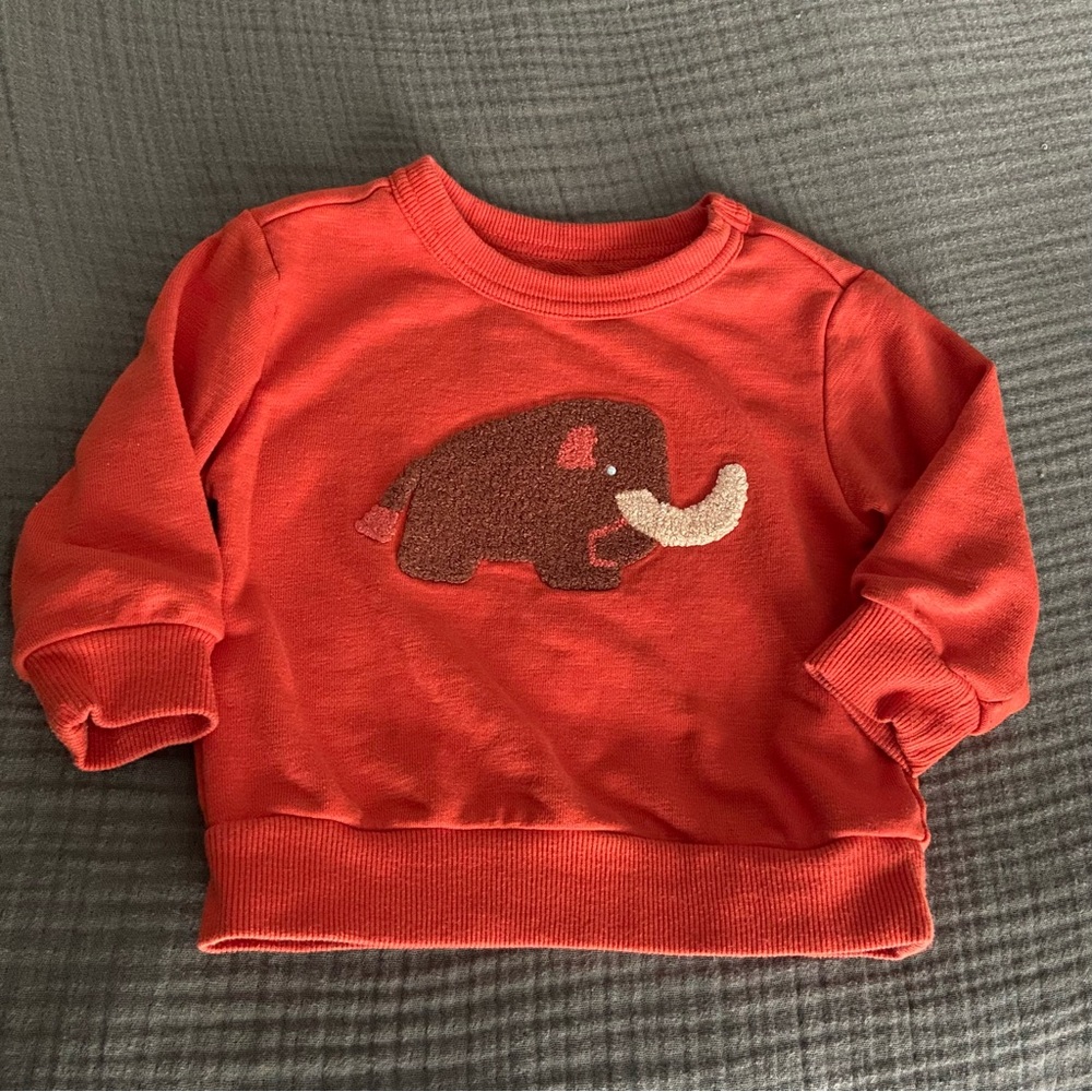 Christian Robinson Red-Orange Mammoth Kids Sweatshirt